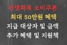 민생회복 소비쿠폰